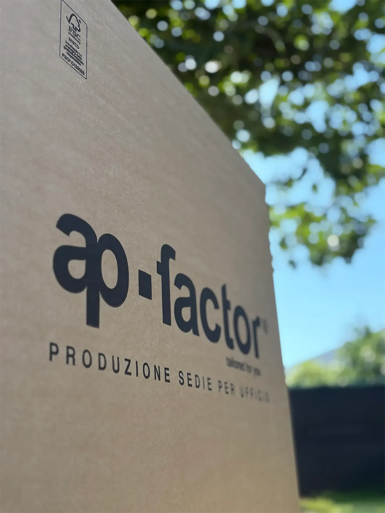 ScatolaAPFactor_L1