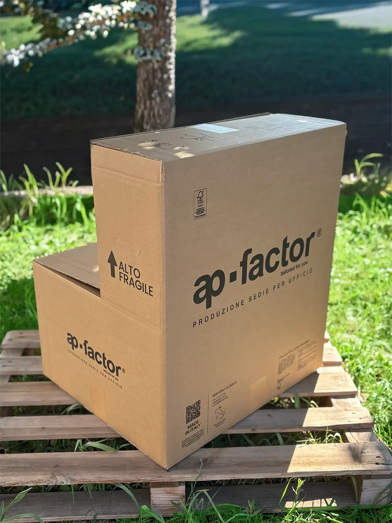 ScatolaAPFactor_L2