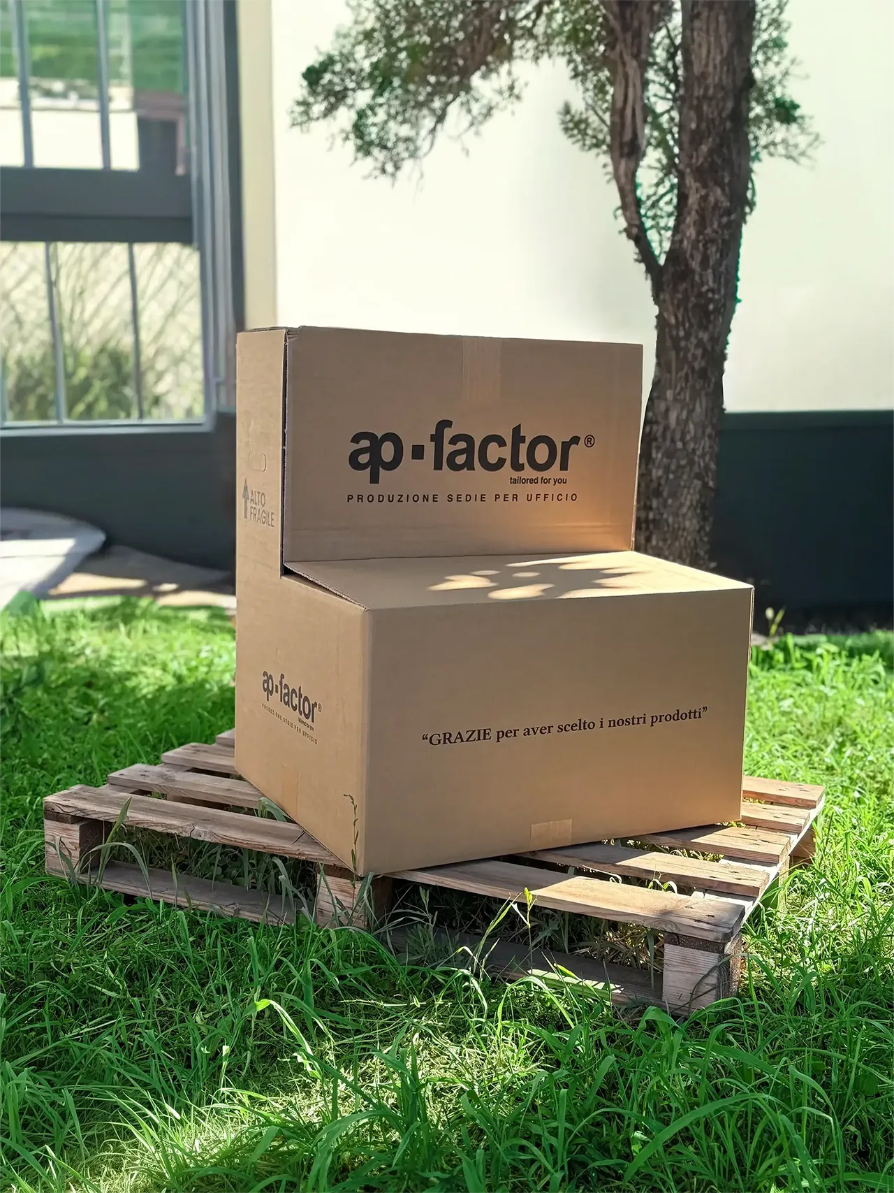 ScatolaAPFactor_L6